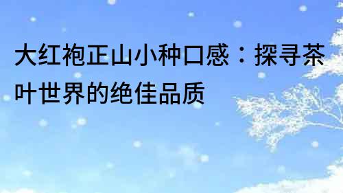 大紅袍正山小種口感：探尋茶葉世界的絕佳品質