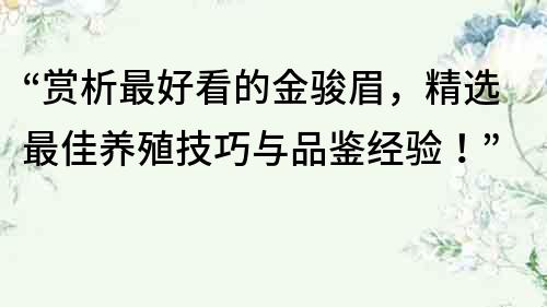 “賞析最好看的金駿眉，精選最佳養殖技巧與品鑒經驗！”