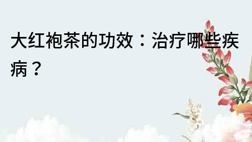 大紅袍茶的功效：治療哪些疾病？