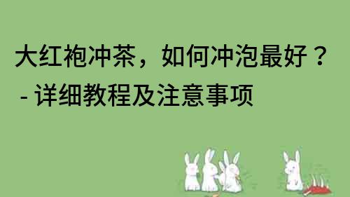 大紅袍沖茶，如何沖泡最好？ - 詳細教程及注意事項