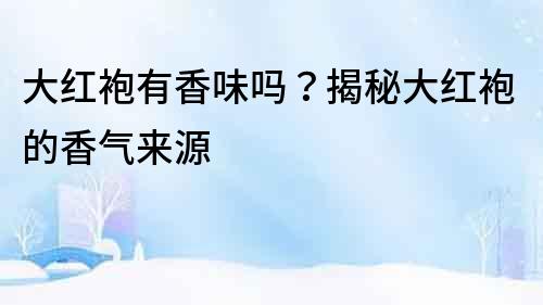 大紅袍有香味嗎？揭秘大紅袍的香氣來源