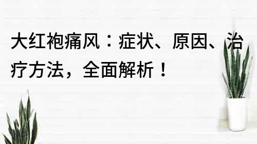 大紅袍痛風：癥狀、原因、治療方法，全面解析！