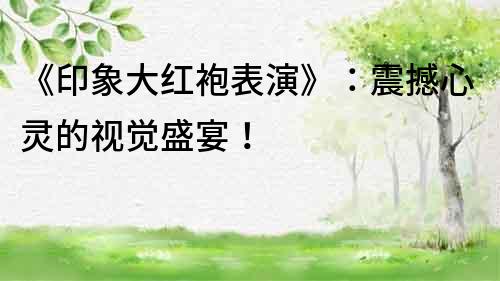 《印象大紅袍表演》：震撼心靈的視覺盛宴！