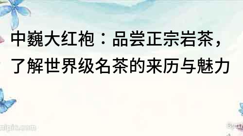 中巍大紅袍：品嘗正宗巖茶，了解世界級名茶的來歷與魅力