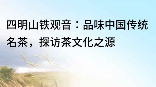 四明山鐵觀音：品味中國傳統名茶，探訪茶文化之源