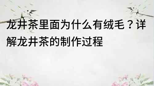 龍井茶里面為什么有絨毛？詳解龍井茶的制作過程