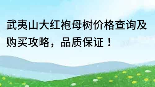 武夷山大紅袍母樹價格查詢及購買攻略，品質保證！