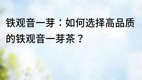 鐵觀音一芽：如何選擇高品質(zhì)的鐵觀音一芽茶？