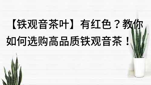 【鐵觀音茶葉】有紅色？教你如何選購高品質鐵觀音茶！