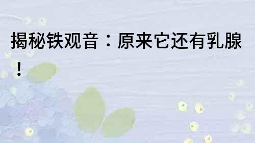 揭秘鐵觀音：原來它還有乳腺！