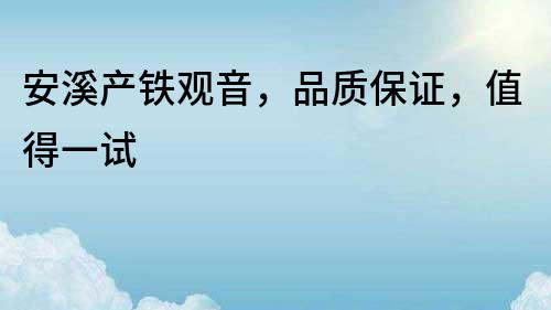 安溪產(chǎn)鐵觀音，品質(zhì)保證，值得一試