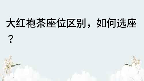 大紅袍茶座位區別，如何選座？