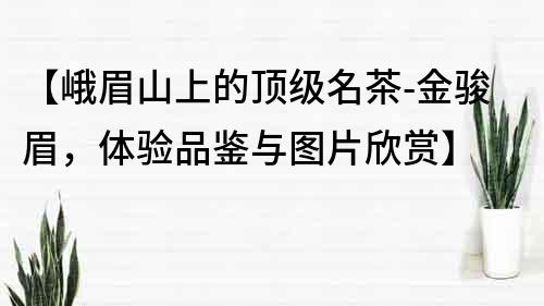 【峨眉山上的頂級名茶-金駿眉，體驗品鑒與圖片欣賞】