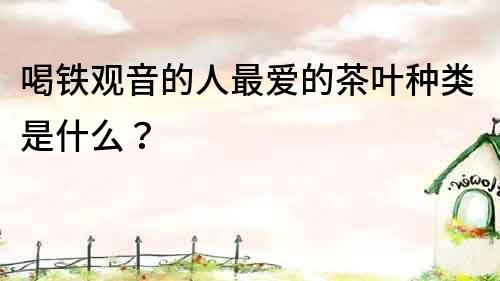 喝鐵觀音的人最愛的茶葉種類是什么？