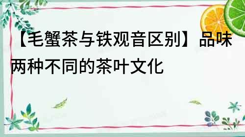 【毛蟹茶與鐵觀音區別】品味兩種不同的茶葉文化