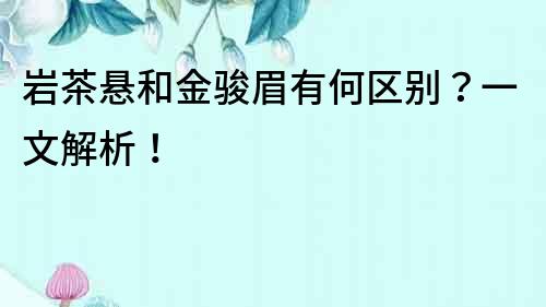 巖茶懸和金駿眉有何區(qū)別？一文解析！
