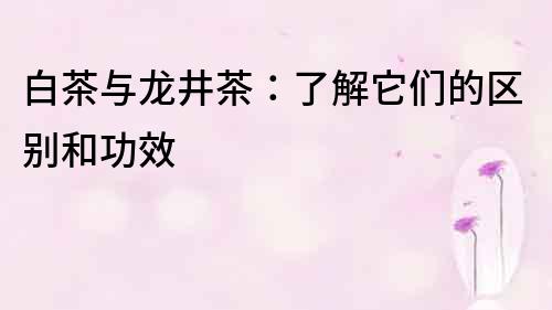白茶與龍井茶：了解它們的區(qū)別和功效