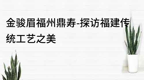 金駿眉福州鼎壽-探訪福建傳統(tǒng)工藝之美