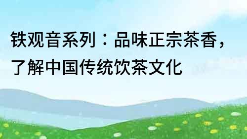 鐵觀音系列：品味正宗茶香，了解中國傳統飲茶文化