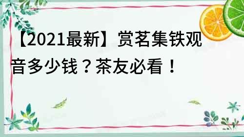 【2021最新】賞茗集鐵觀音多少錢？茶友必看！