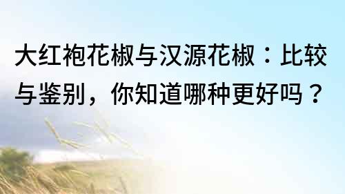 大紅袍花椒與漢源花椒：比較與鑒別，你知道哪種更好嗎？