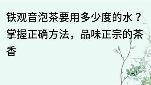 鐵觀音泡茶要用多少度的水？掌握正確方法，品味正宗的茶香