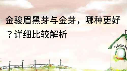 金駿眉黑芽與金芽，哪種更好？詳細比較解析