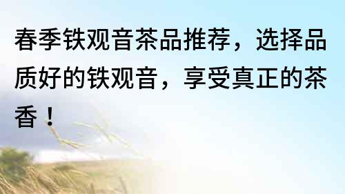 春季鐵觀音茶品推薦，選擇品質(zhì)好的鐵觀音，享受真正的茶香！