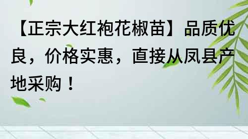 【正宗大紅袍花椒苗】品質(zhì)優(yōu)良，價(jià)格實(shí)惠，直接從鳳縣產(chǎn)地采購(gòu)！