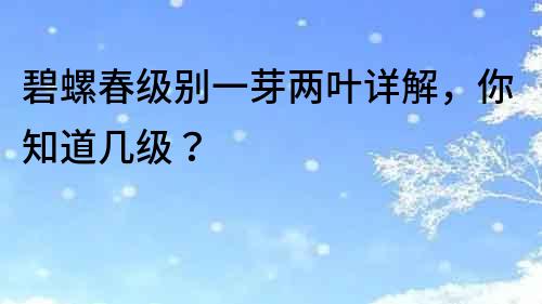 碧螺春級別一芽兩葉詳解，你知道幾級？