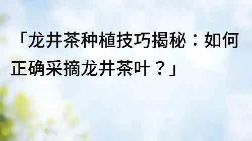 「龍井茶種植技巧揭秘：如何正確采摘龍井茶葉？」