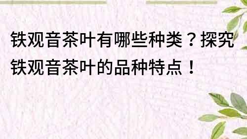 鐵觀音茶葉有哪些種類？探究鐵觀音茶葉的品種特點！