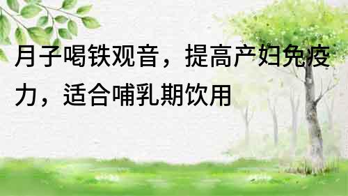 月子喝鐵觀音，提高產婦免疫力，適合哺乳期飲用