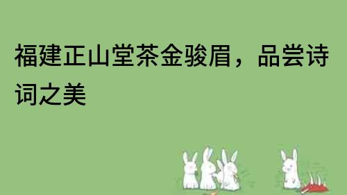 福建正山堂茶金駿眉，品嘗詩詞之美