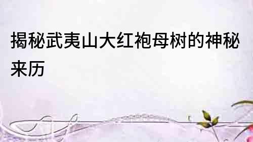 揭秘武夷山大紅袍母樹的神秘來歷