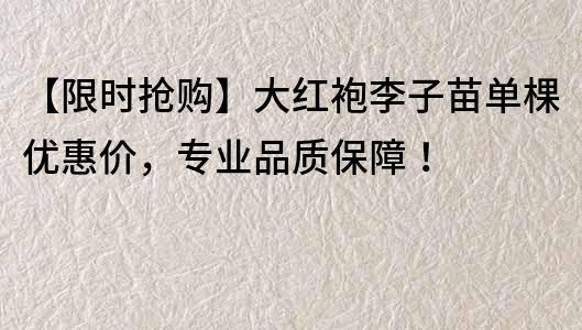 【限時搶購】大紅袍李子苗單棵優(yōu)惠價，專業(yè)品質(zhì)保障！