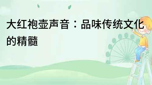 大紅袍壺聲音：品味傳統(tǒng)文化的精髓