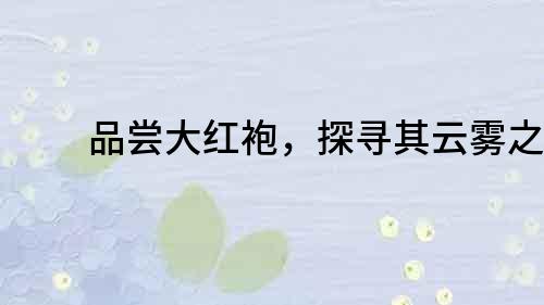 品嘗大紅袍，探尋其云霧之美