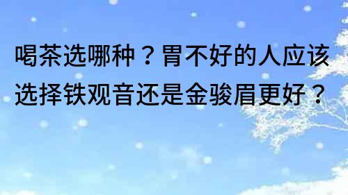 喝茶選哪種？胃不好的人應該選擇鐵觀音還是金駿眉更好？