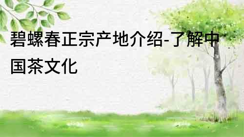 碧螺春正宗產地介紹-了解中國茶文化
