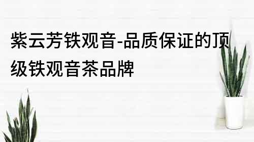 紫云芳鐵觀音-品質(zhì)保證的頂級鐵觀音茶品牌