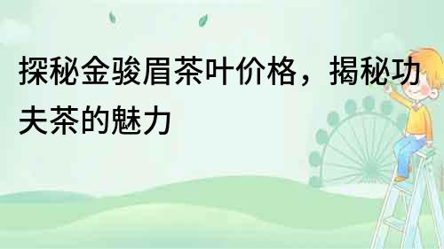 探秘金駿眉茶葉價格，揭秘功夫茶的魅力