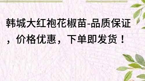 韓城大紅袍花椒苗-品質保證,價格優惠,下單即發貨!