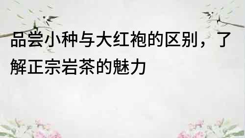 品嘗小種與大紅袍的區別，了解正宗巖茶的魅力