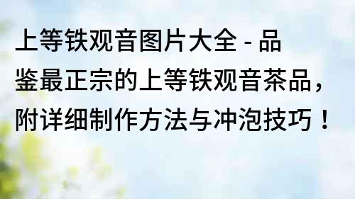 上等鐵觀音圖片大全 - 品鑒最正宗的上等鐵觀音茶品，附詳細制作方法與沖泡技巧！