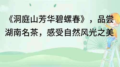 《洞庭山芳華碧螺春》，品嘗湖南名茶，感受自然風(fēng)光之美
