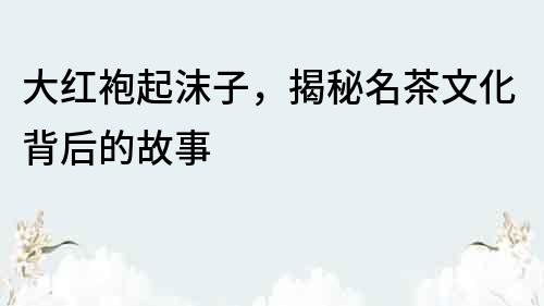 大紅袍起沫子，揭秘名茶文化背后的故事