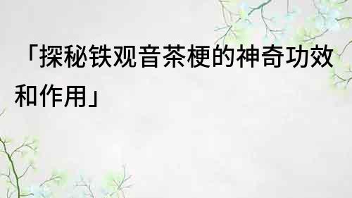 「探秘鐵觀音茶梗的神奇功效和作用」