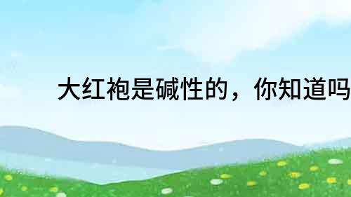 大紅袍是堿性的，你知道嗎？