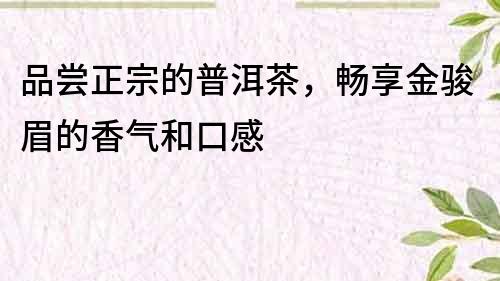 品嘗正宗的普洱茶，暢享金駿眉的香氣和口感